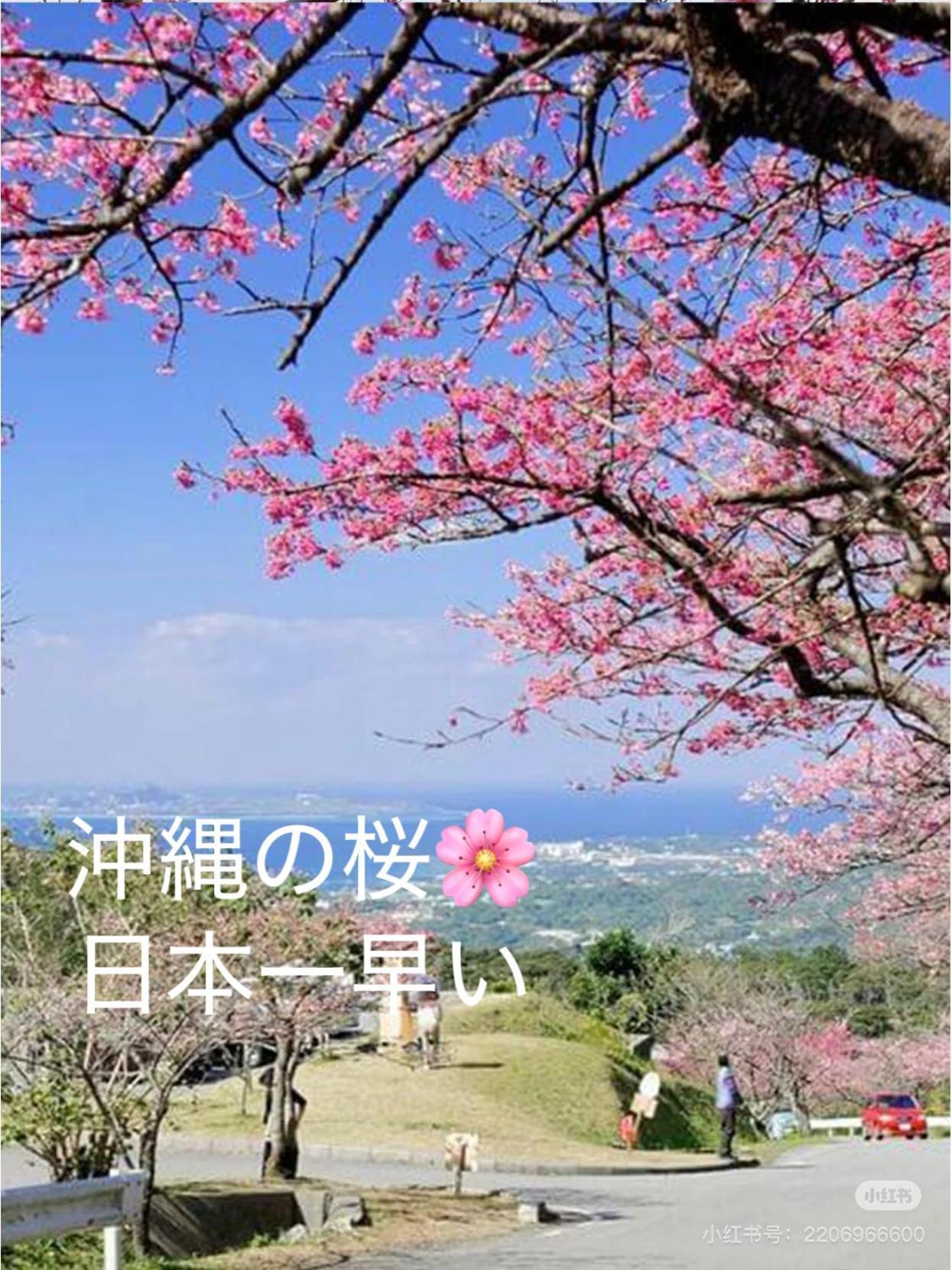 Villa Yuihouse Yabu  Exterior foto